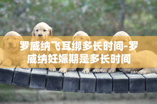 羅威納飛耳綁多長時間-羅威納妊娠期是多長時間