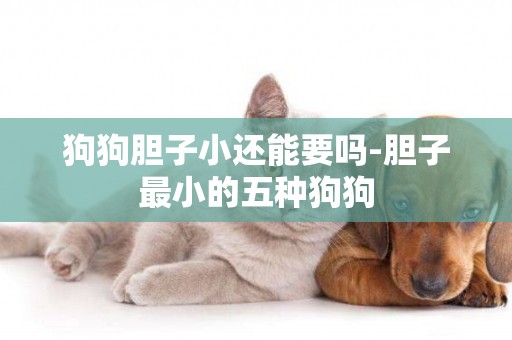 狗狗膽子小還能要嗎-膽子最小的五種狗狗