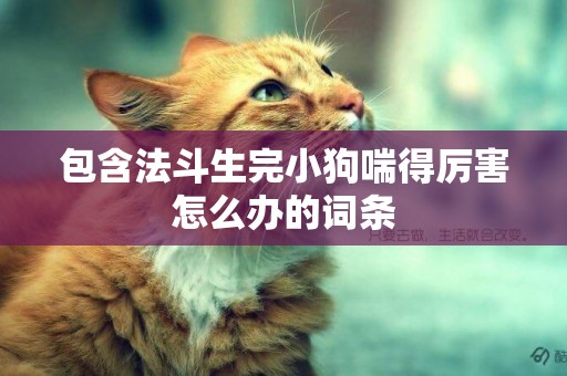 包含法斗生完小狗喘得厲害怎么辦的詞條