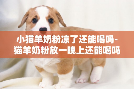 小貓羊奶粉涼了還能喝嗎-貓羊奶粉放一晚上還能喝嗎