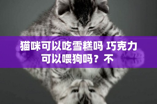 貓咪可以吃雪糕嗎 巧克力可以喂狗嗎？不 