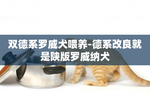 雙德系羅威犬喂養-德系改良就是陜版羅威納犬