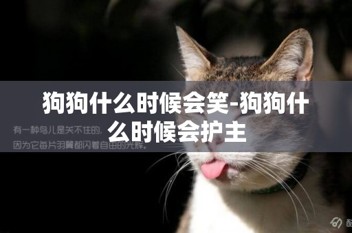 狗狗什么時候會笑-狗狗什么時候會護主