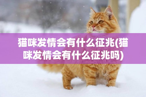 貓咪發情會有什么征兆(貓咪發情會有什么征兆嗎)