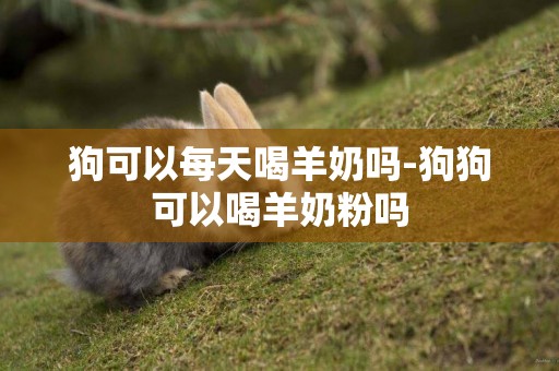 狗可以每天喝羊奶嗎-狗狗可以喝羊奶粉嗎