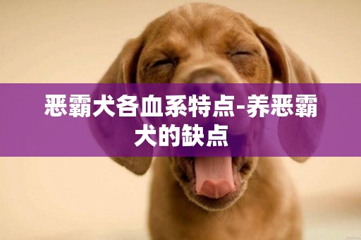 惡霸犬各血系特點-養惡霸犬的缺點