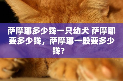 薩摩耶多少錢一只幼犬 薩摩耶要多少錢，薩摩耶一般要多少錢？ 