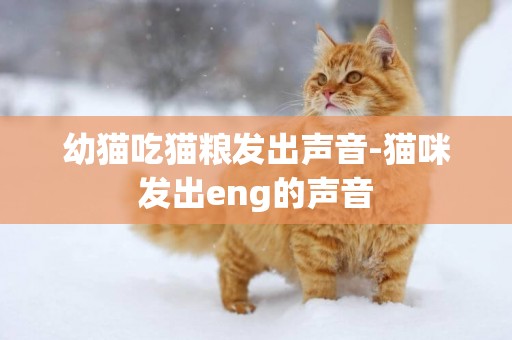 幼貓吃貓糧發出聲音-貓咪發出eng的聲音