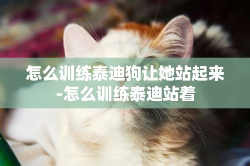 怎么訓練泰迪狗讓她站起來-怎么訓練泰迪站著