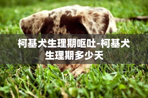 柯基犬生理期嘔吐-柯基犬生理期多少天