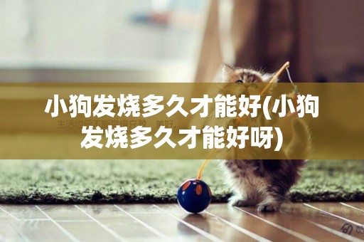 小狗發燒多久才能好(小狗發燒多久才能好呀)
