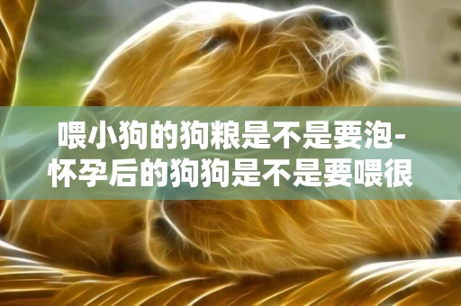 喂小狗的狗糧是不是要泡-懷孕后的狗狗是不是要喂很多狗糧