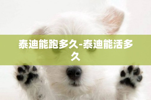 泰迪能跑多久-泰迪能活多久