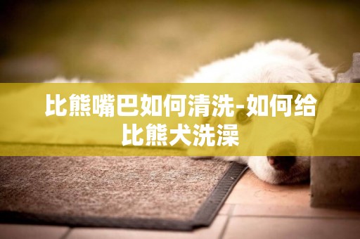 比熊嘴巴如何清洗-如何給比熊犬洗澡