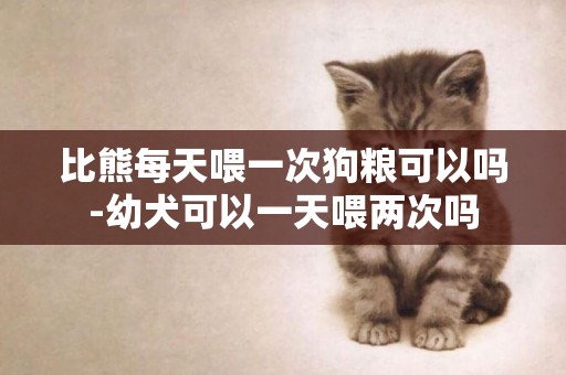 比熊每天喂一次狗糧可以嗎-幼犬可以一天喂兩次嗎