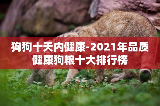 狗狗十天內健康-2021年品質健康狗糧十大排行榜