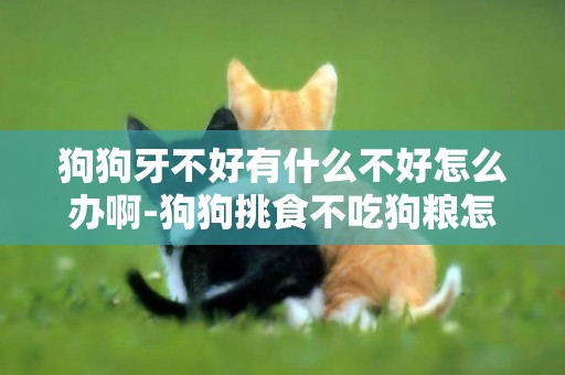 狗狗牙不好有什么不好怎么辦啊-狗狗挑食不吃狗糧怎么辦