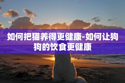如何把貓養得更健康-如何讓狗狗的飲食更健康