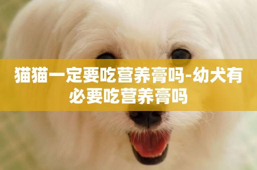 貓貓一定要吃營養膏嗎-幼犬有必要吃營養膏嗎