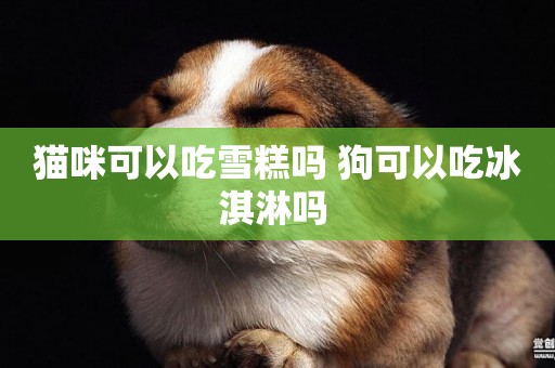 貓咪可以吃雪糕嗎 狗可以吃冰淇淋嗎 