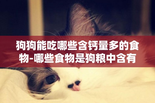 狗狗能吃哪些含鈣量多的食物-哪些食物是狗糧中含有的