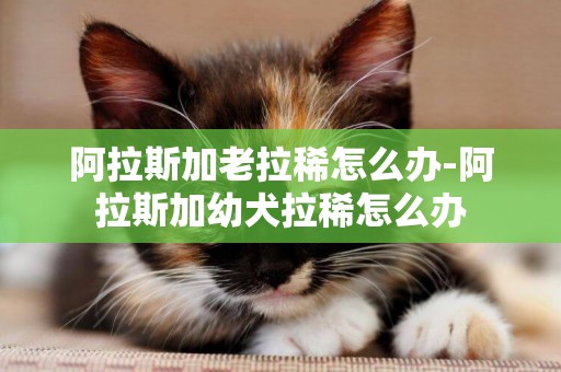 阿拉斯加老拉稀怎么辦-阿拉斯加幼犬拉稀怎么辦