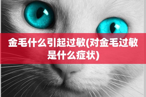 金毛什么引起過敏(對金毛過敏是什么癥狀)