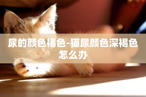 尿的顏色褐色-貓尿顏色深褐色怎么辦
