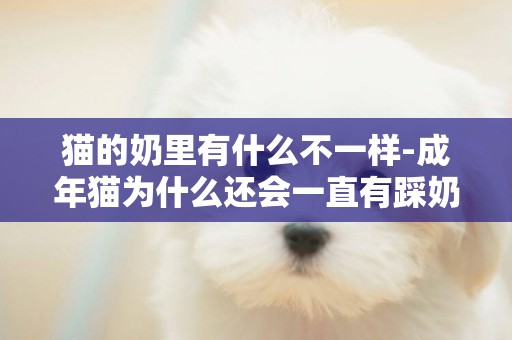 貓的奶里有什么不一樣-成年貓為什么還會一直有踩奶的行為