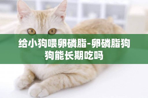 給小狗喂卵磷脂-卵磷脂狗狗能長期吃嗎