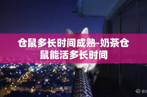 倉鼠多長時間成熟-奶茶倉鼠能活多長時間