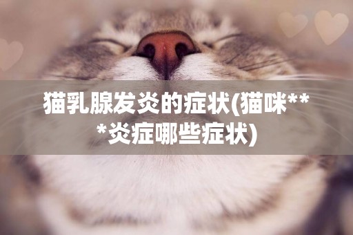 貓乳腺發炎的癥狀(貓咪***炎癥哪些癥狀)
