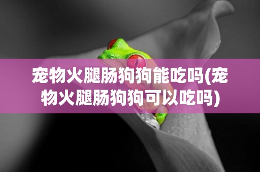 寵物火腿腸狗狗能吃嗎(寵物火腿腸狗狗可以吃嗎)