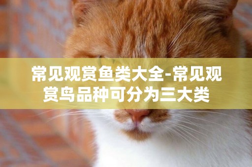 常見觀賞魚類大全-常見觀賞鳥品種可分為三大類