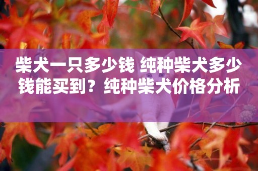 柴犬一只多少錢 純種柴犬多少錢能買到？純種柴犬價格分析 
