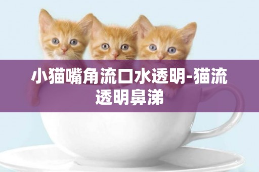小貓嘴角流口水透明-貓流透明鼻涕