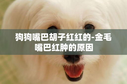狗狗嘴巴胡子紅紅的-金毛嘴巴紅腫的原因