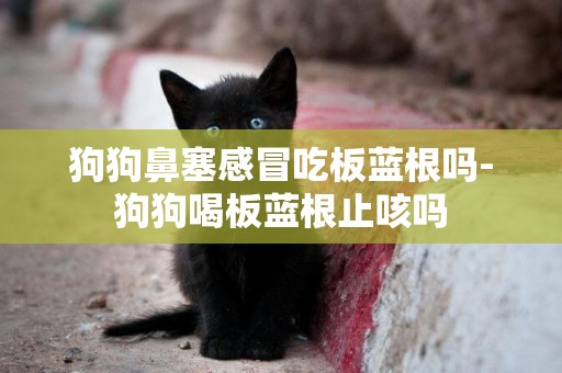 狗狗鼻塞感冒吃板藍根嗎-狗狗喝板藍根止咳嗎