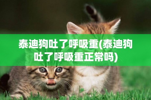 泰迪狗吐了呼吸重(泰迪狗吐了呼吸重正常嗎)