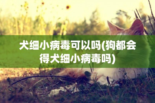 犬細小病毒可以嗎(狗都會得犬細小病毒嗎)