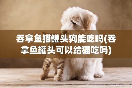 吞拿魚貓罐頭狗能吃嗎(吞拿魚罐頭可以給貓吃嗎)