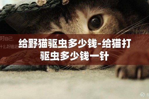 給野貓驅蟲多少錢-給貓打驅蟲多少錢一針