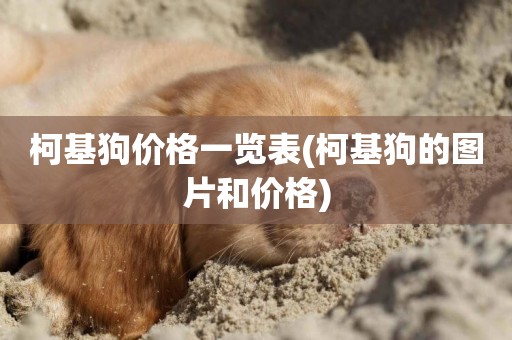柯基狗價格一覽表(柯基狗的圖片和價格)