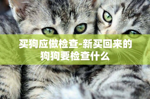 買狗應做檢查-新買回來的狗狗要檢查什么