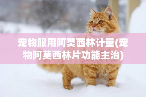 寵物服用阿莫西林計量(寵物阿莫西林片功能主治)