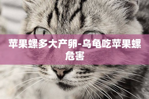 蘋果螺多大產卵-烏龜吃蘋果螺危害