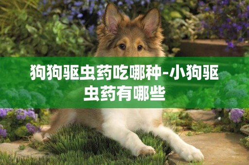 狗狗驅蟲藥吃哪種-小狗驅蟲藥有哪些