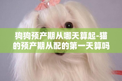 狗狗預產期從哪天算起-貓的預產期從配的第一天算嗎