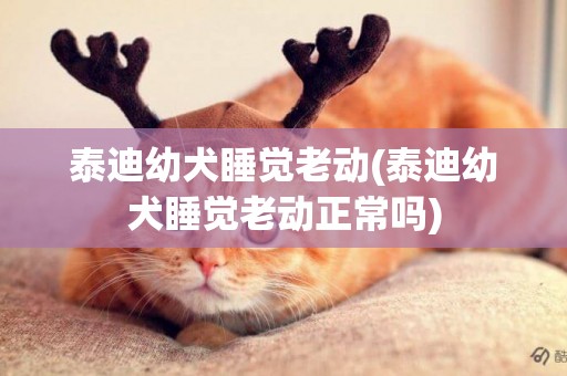 泰迪幼犬睡覺老動(泰迪幼犬睡覺老動正常嗎)