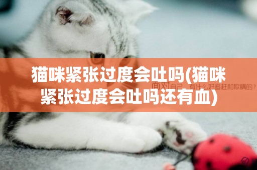 貓咪緊張過度會吐嗎(貓咪緊張過度會吐嗎還有血)